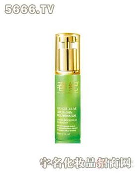 靓佳人化妆品 品牌魅力与代理机遇全解析